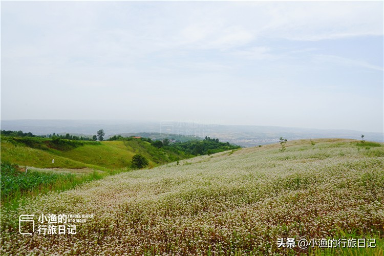 藏在秦岭深处的世外秘境,藏在西安秦岭里的桃源秘境