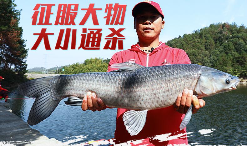 钓鱼王哪款鱼竿适合钓大鱼,钓鱼王7.2米顶级鱼竿推荐