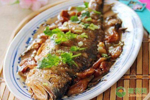 养殖黄花鱼的价格多少钱一斤啊,养殖黄花鱼与天然黄花鱼的鉴别