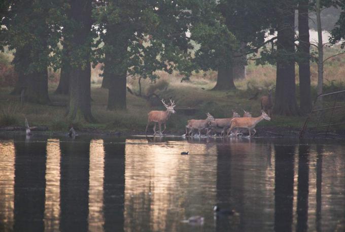 第一次去英国,第一次去英国需要什么手续