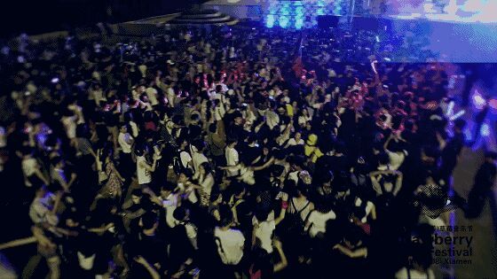 草莓音乐节整体游玩流程,草莓音乐节怎么才有参与感