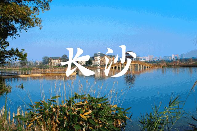 20杯起送，600元跑腿，3亿人看长沙“奶茶代购”，官方无奈：别搞了行不行？