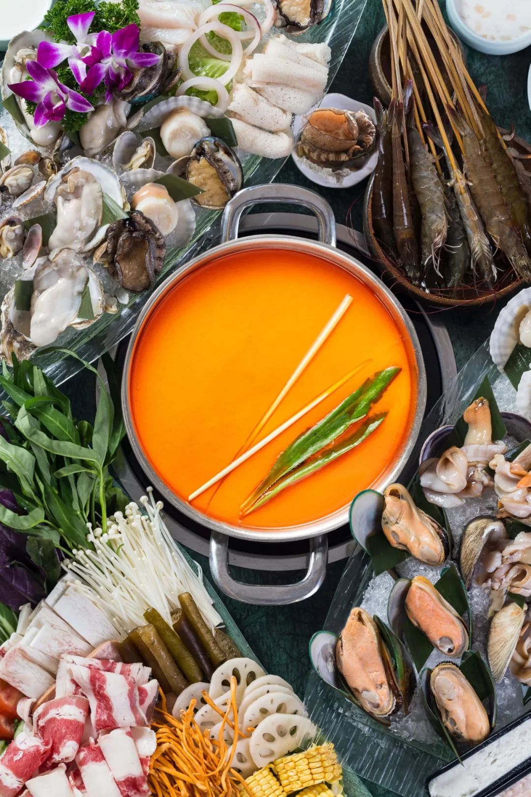 海口飞特,飞特推荐