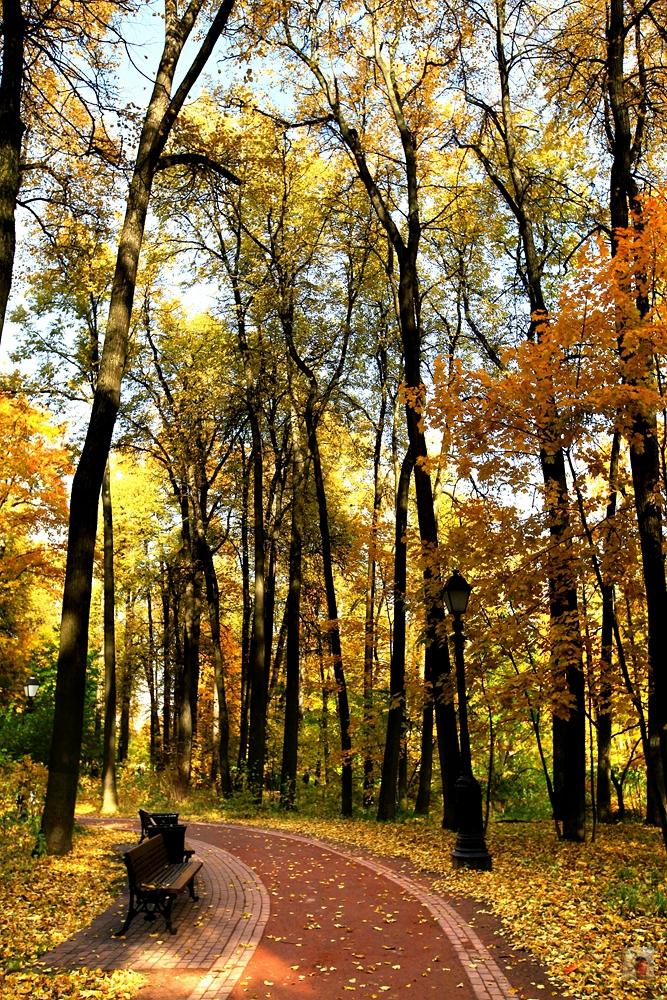 俄罗斯顶级奢华地方,绝美的风景俄罗斯