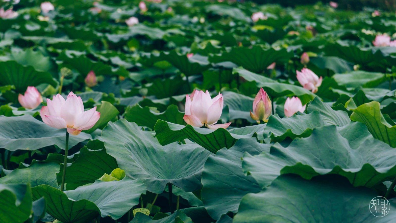 娴庡崡骞寸粓鎬荤粨鎶ュ憡,鍚堣偉骞寸粓鎬荤粨鎶ュ憡