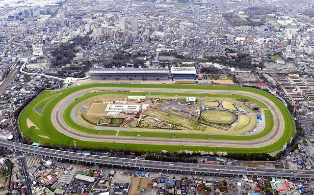 游玩东京2020奥运会,东京除了东京还有哪些玩的地方