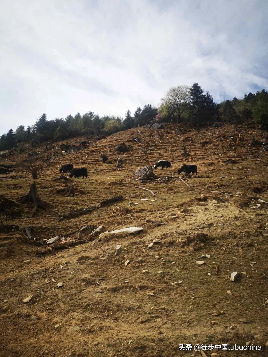 给我一个机会去爱你,给我一个机会让我去爱你