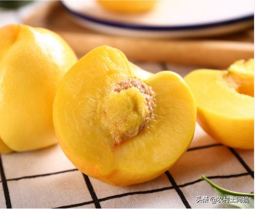 七月熟的油桃有哪些,四月份成熟的油桃好吃么