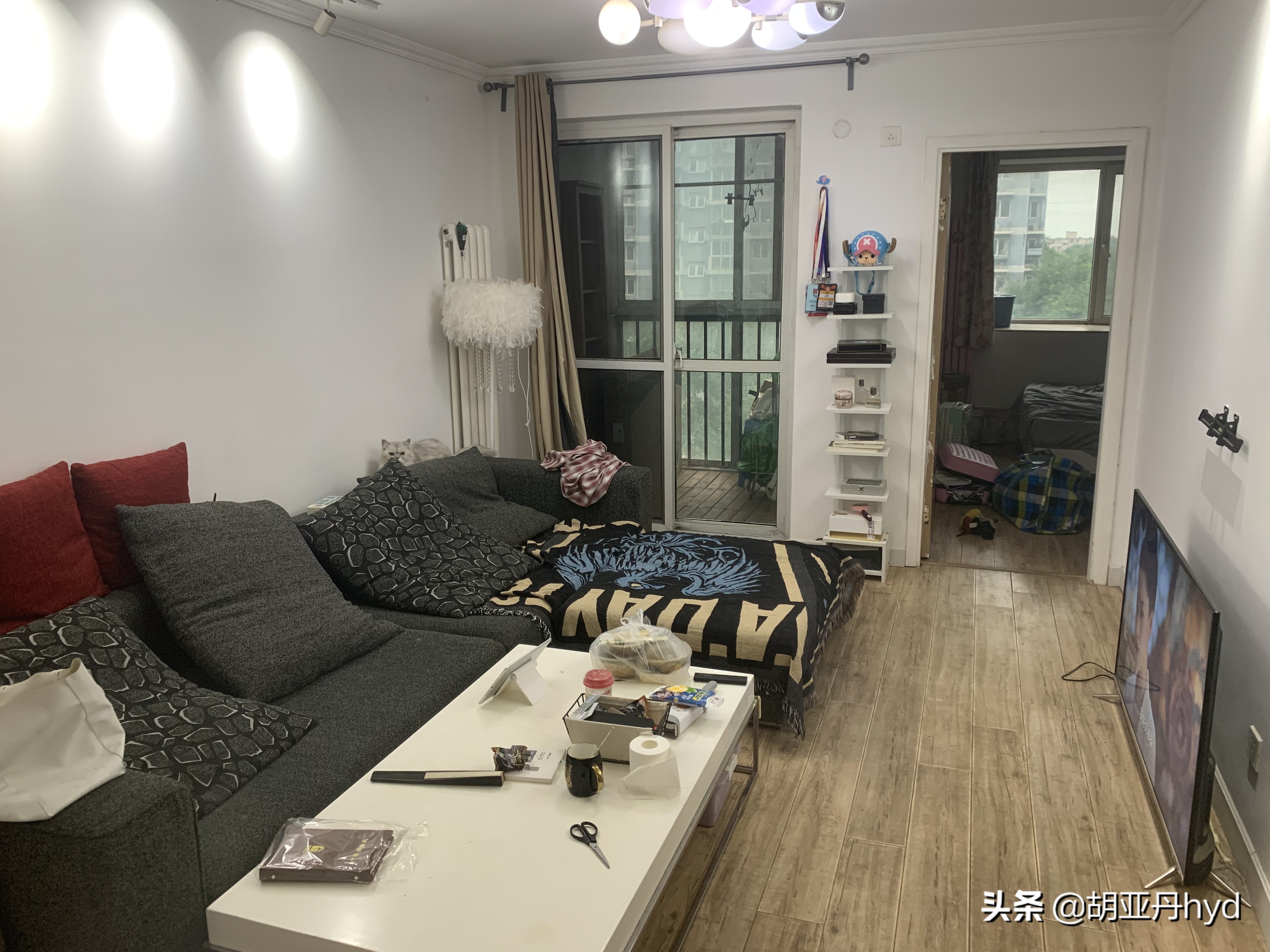 北京公寓租房踩雷,长租公寓北京爆雷目前的解决办法