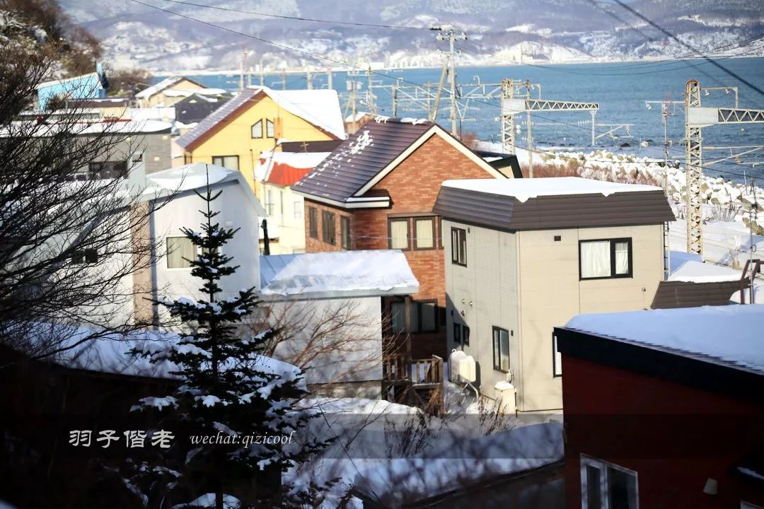 老实说,这一趟北海道就是为了拍好看的照片去的