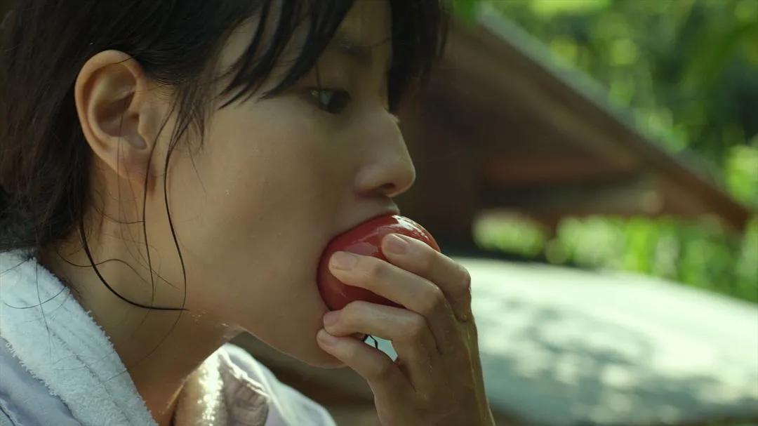 小森林治愈自己,小森林治愈歌