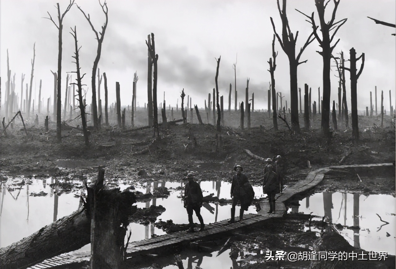 中土世界深度解析,中土世界进化史