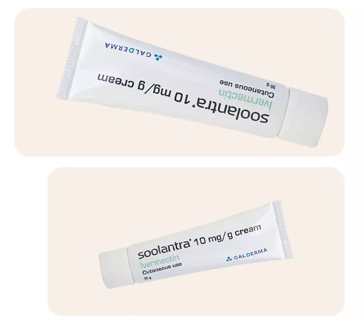 没想到吧，每晚陪你睡觉的是这个家伙！