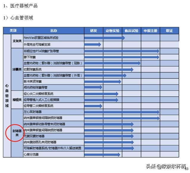 乐普医疗的价值及分析,乐普医疗未来盈利空间