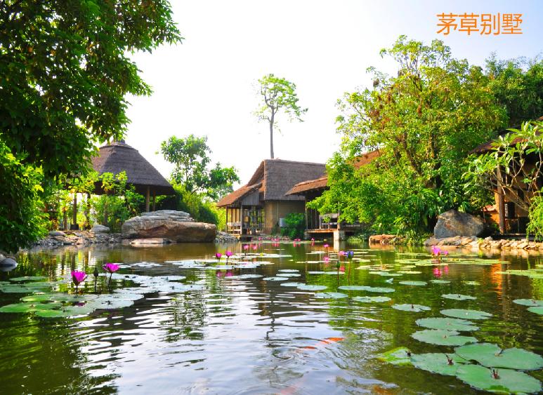 去湛江住特呈岛好还是住金沙湾好,今天湛江特呈岛风景区值得去吗