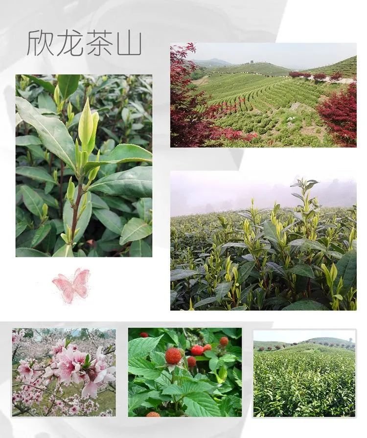 常州十大烧烤地方,常州踏青烧烤最佳攻略