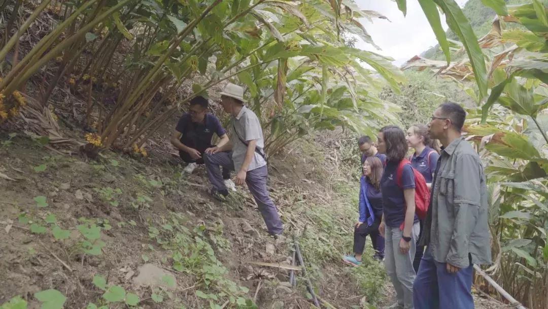 字节跳动都有什么奇葩职位,字节跳动岗位解析