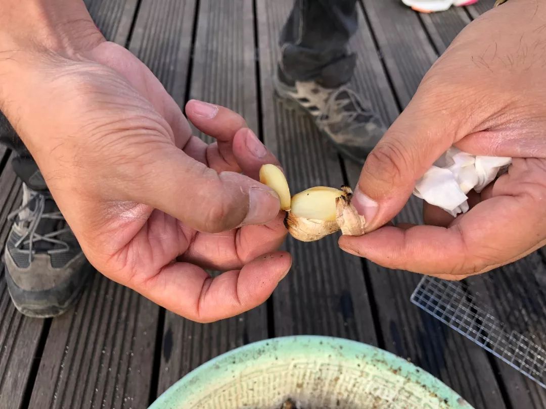 趁着午休两小时，他们在天台上组了个jió盆烤肉趴