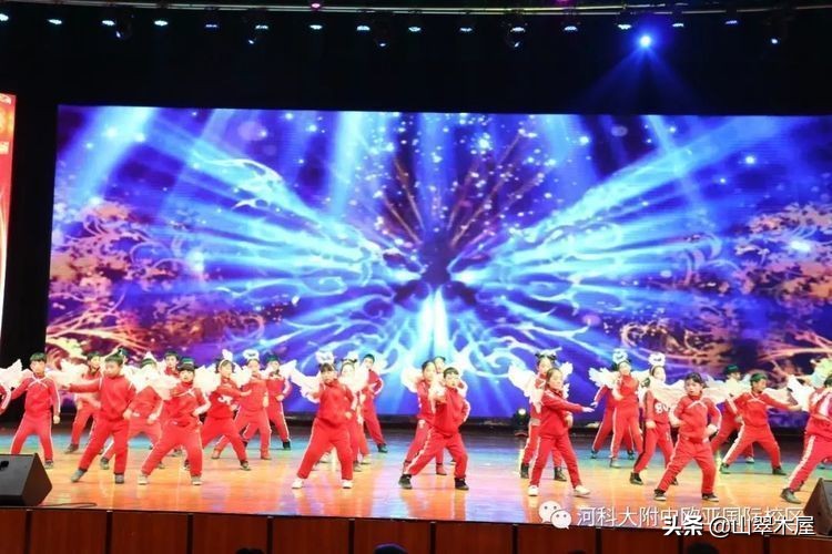 洛阳市欧亚国际学院,洛阳欧亚国际学院怎么样