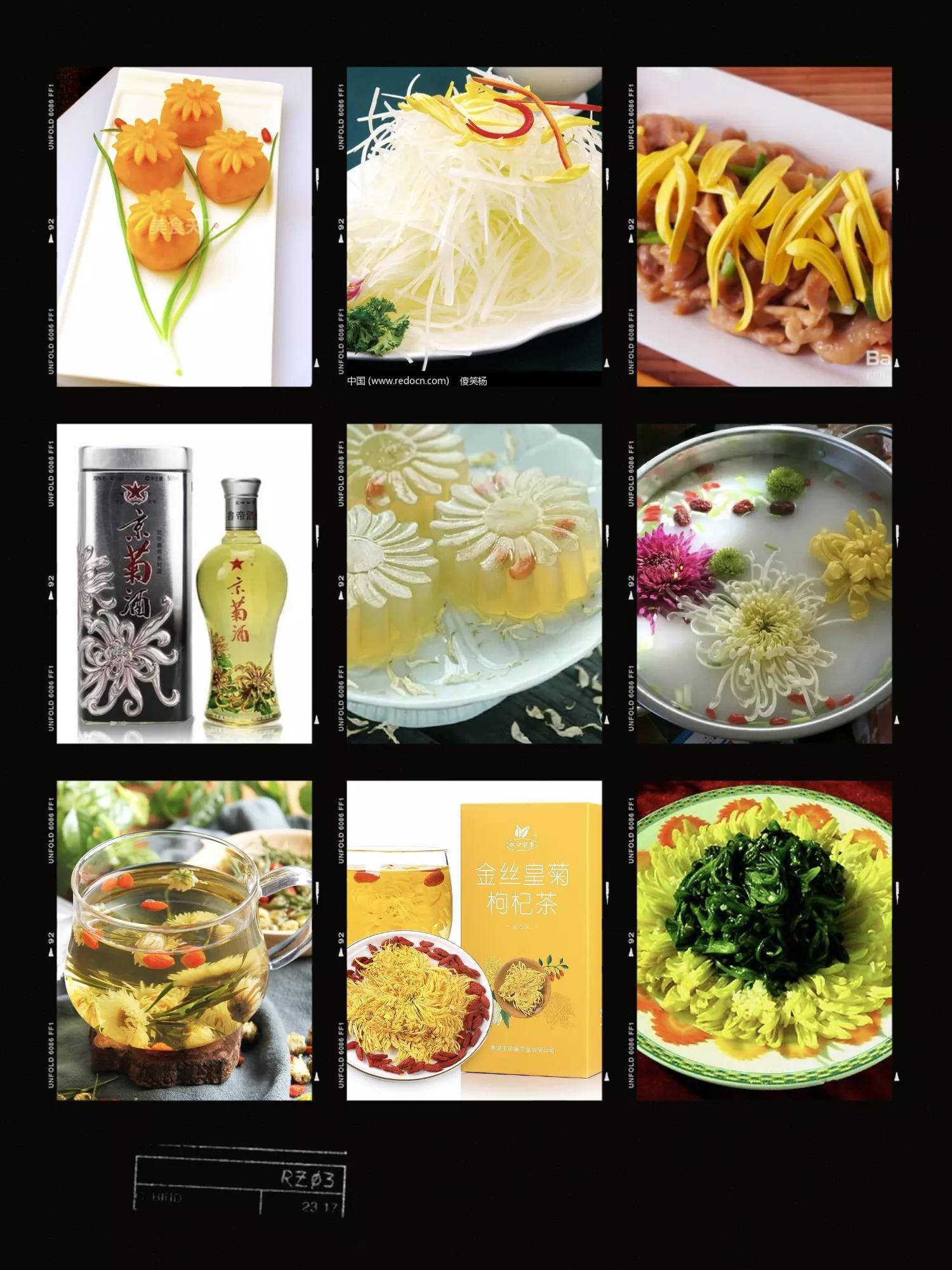 菊和什么并称为花中四君子,花中四君子菊花的品质与精神