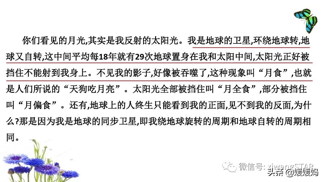 2019-2020四年级下册语文期末试卷,2021-2022四年级上册语文期末试卷