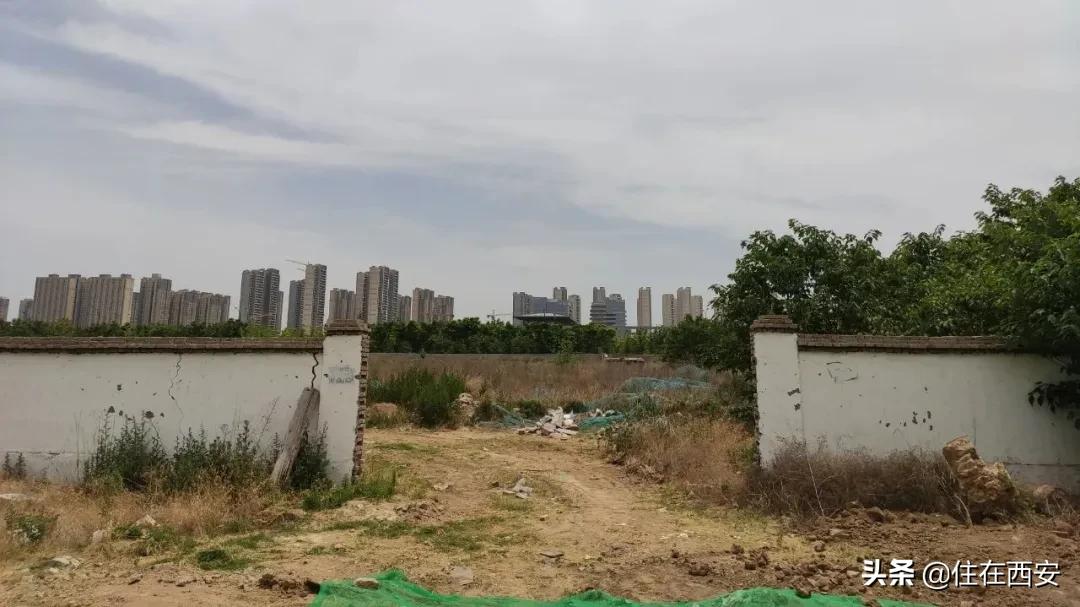 天地源棠樾府和天地源兰樾坊,沣东天地源兰樾坊最新房价