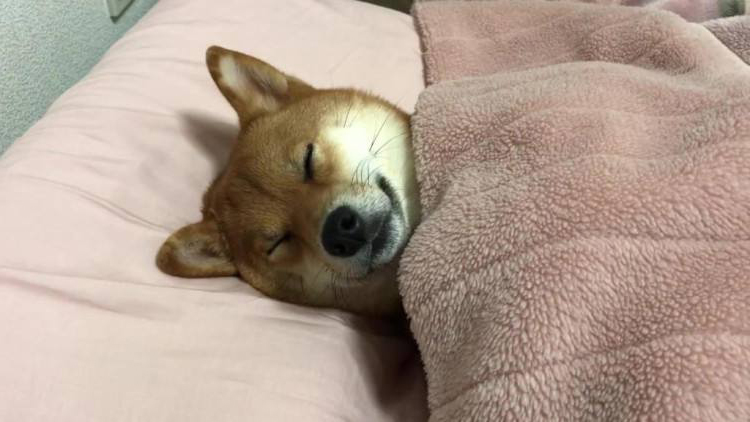 入手switch准备的配件推荐,switch配件年度使用总结与选购建议