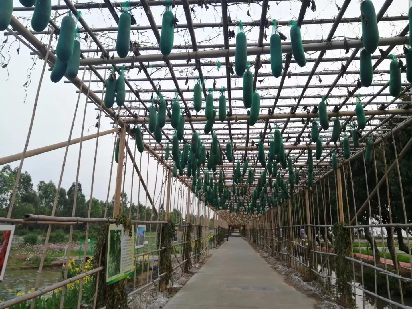 广州地铁3号线旅游攻略图,广州番禺广场地铁站旅游攻略