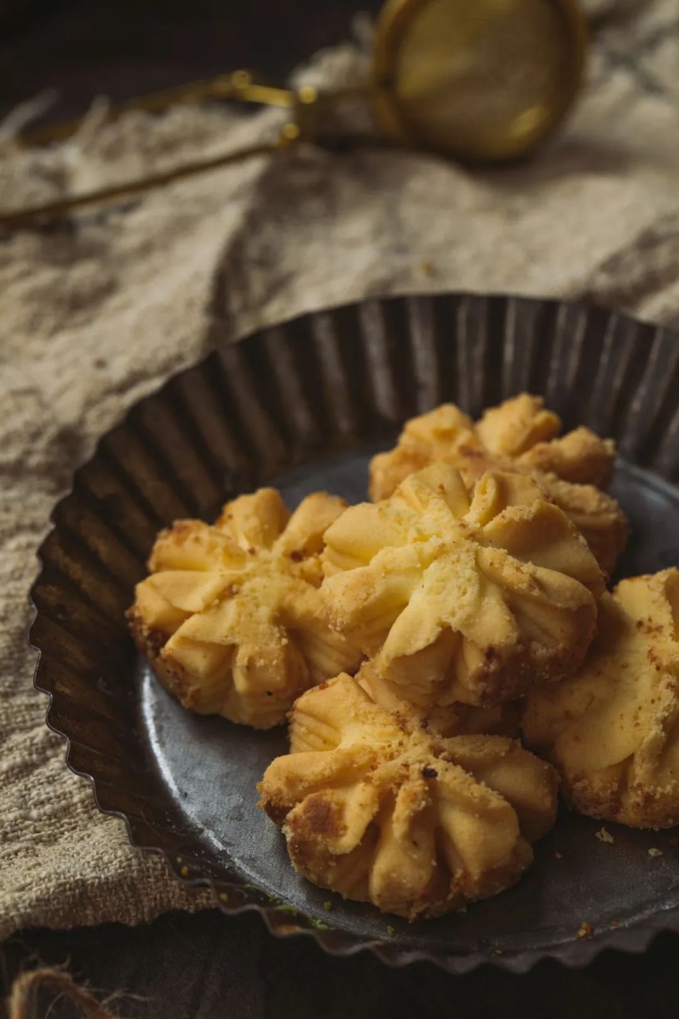 网红小熊曲奇,网红小熊曲奇最新视频