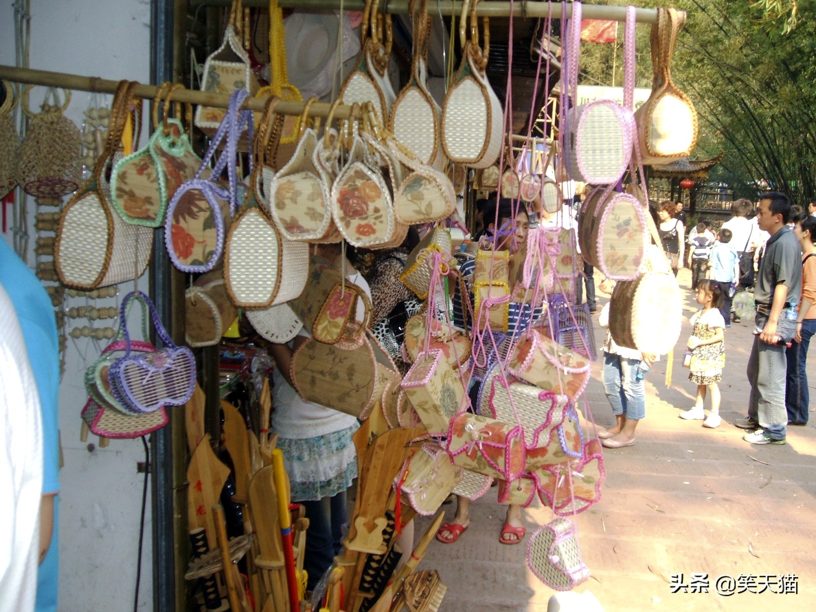 四川宜宾竹海风景,宜宾蜀南竹海全视频