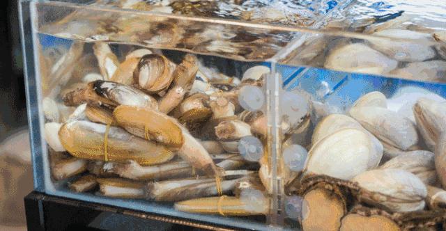 与越南隔河相望,与越南接壤城市旅游