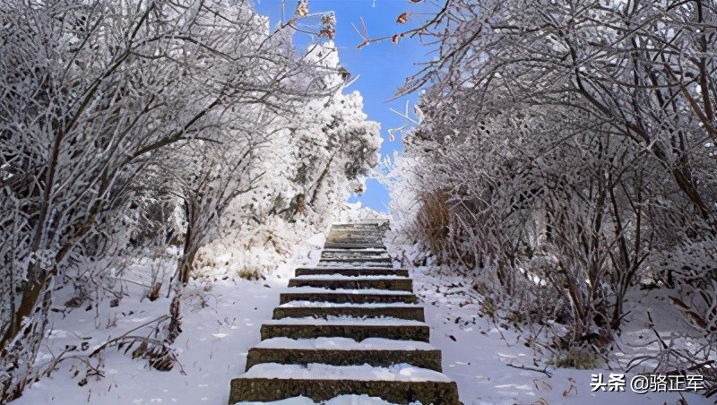 南轩传奇（长篇小说连载之十八）