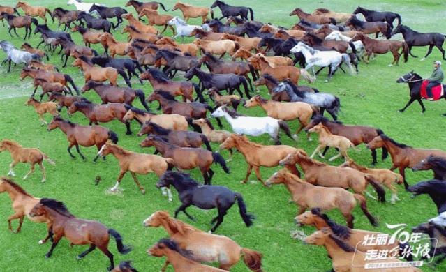 甘肃宝藏最多的地方,甘肃这座宝藏小城