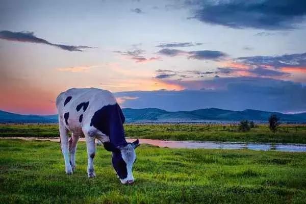 三伏天去哪里旅行,逃离炎热的夏天