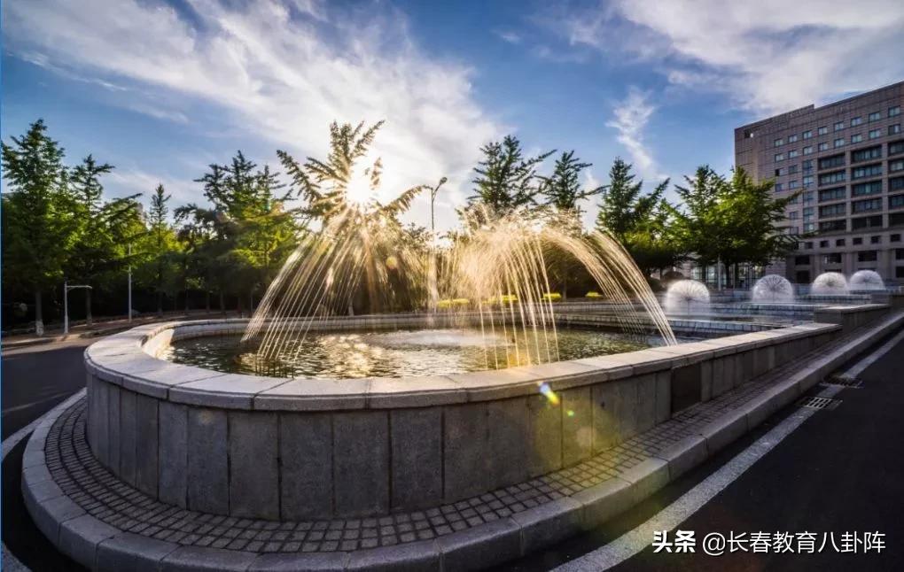 东北财经大学学生就业前景,东北财经大学2020就业质量报告