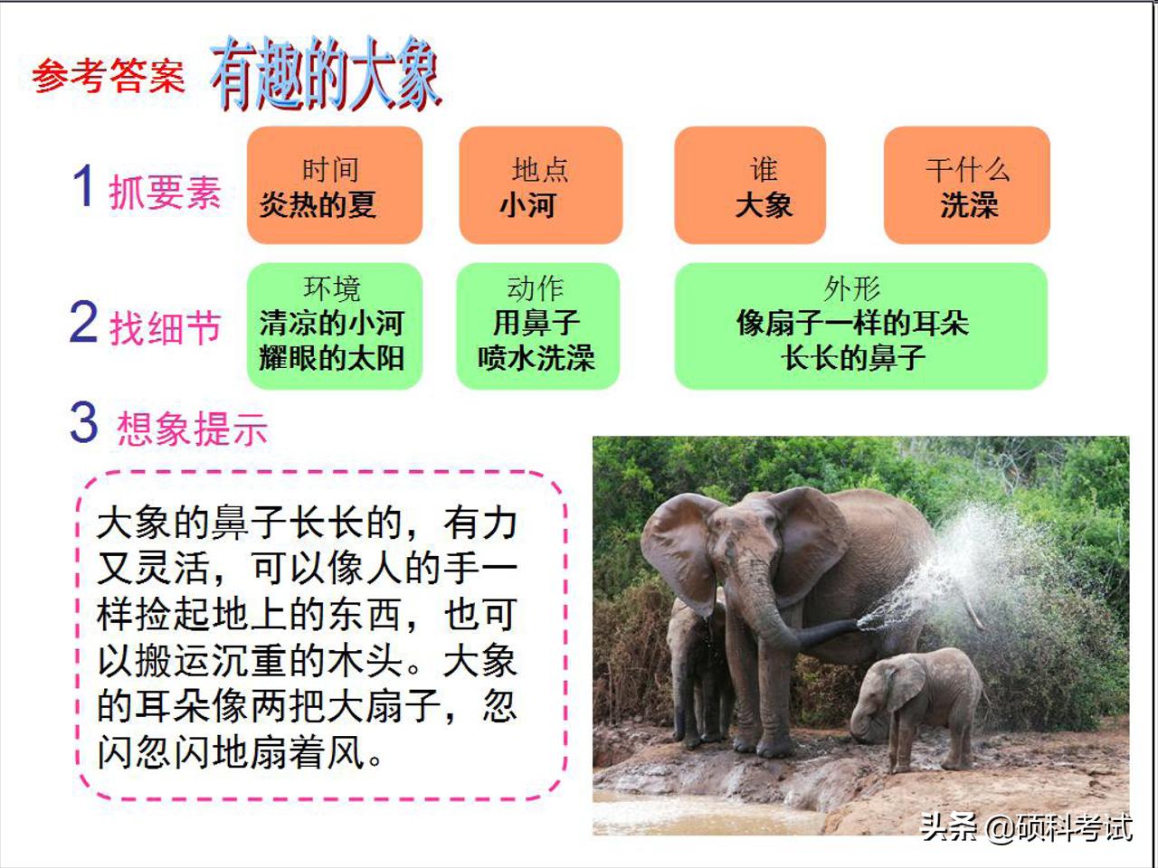 一二年级语文看图写话专项练习:20个详细教程+练习范文,可*载下**