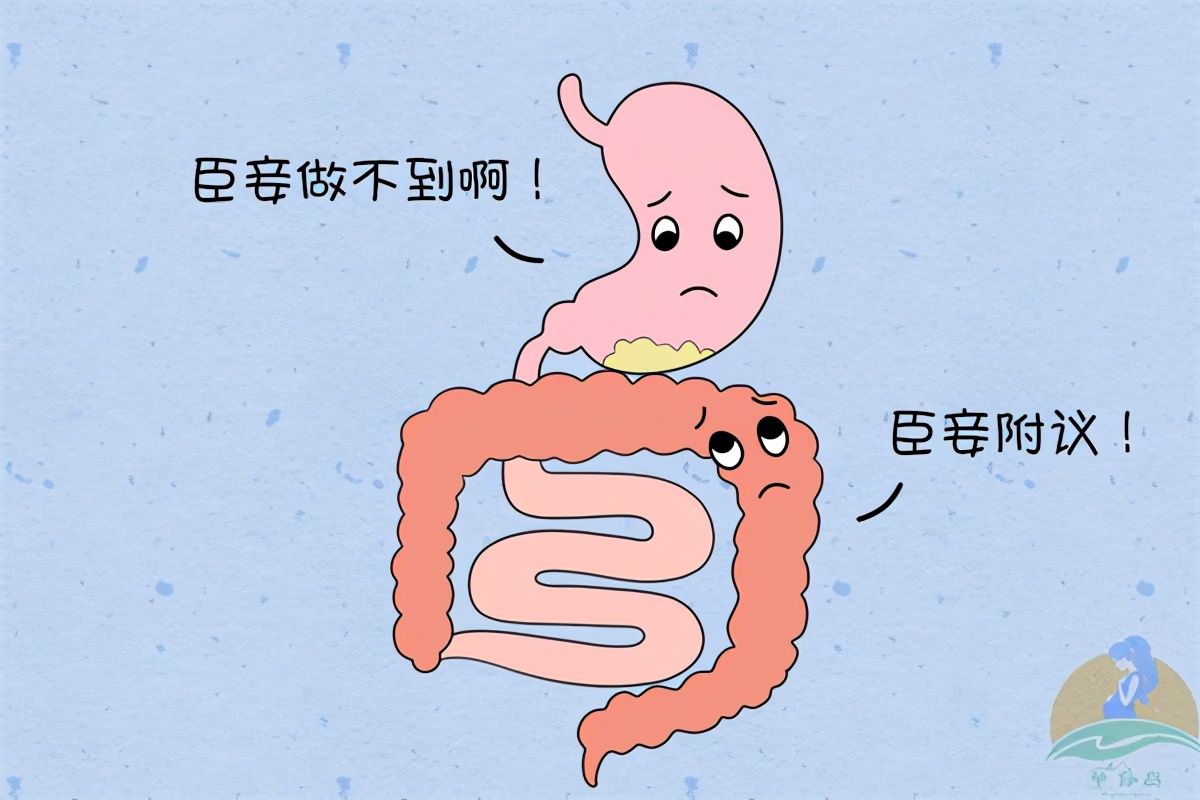 辅食添加顺序最全的辅食添加图解,辅食添加过程及注意事项