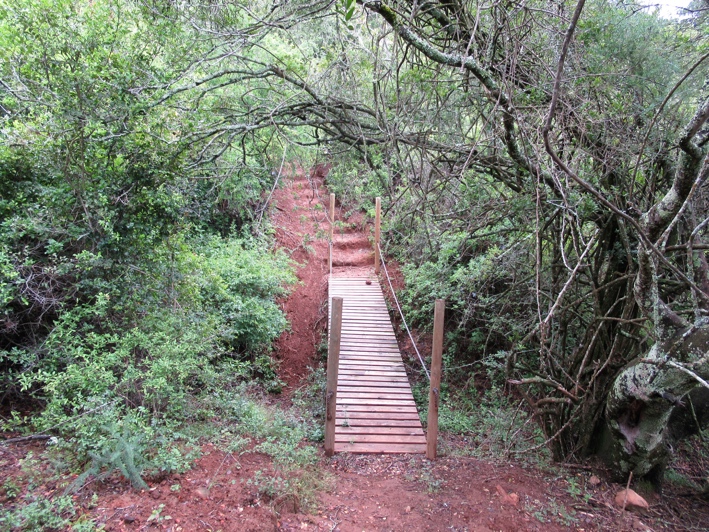 模拟味和数码味试听,数码味和模拟味对比视频