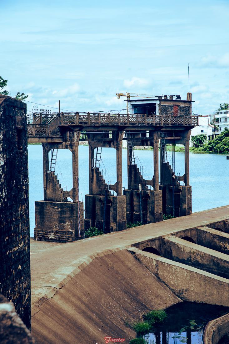 龙塘有哪些好吃的,清远龙塘海鲜大排档