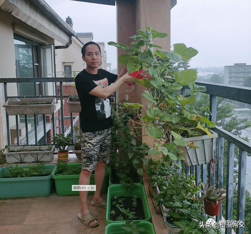 在书旗写作,我收获多套房和完美人生