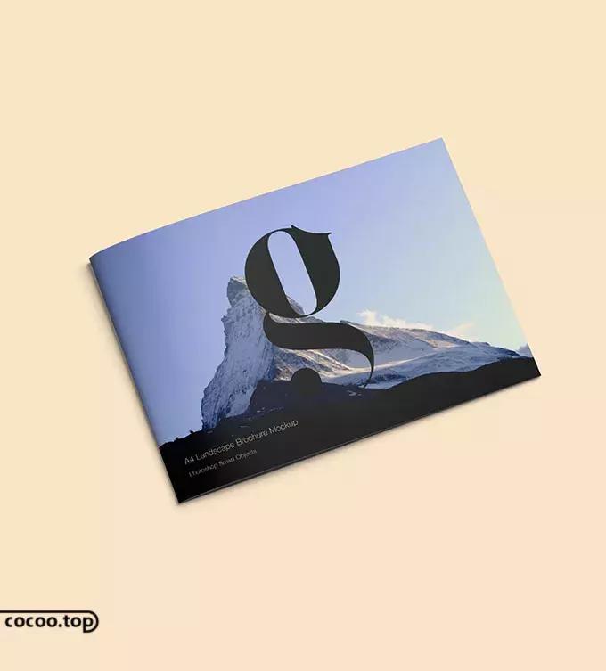 设计宣传册如何统一风格,宣传册设计美学因素