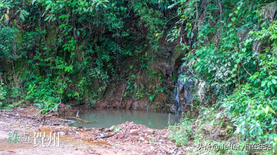拍贺州｜莲塘镇大山深处的“一号基地”