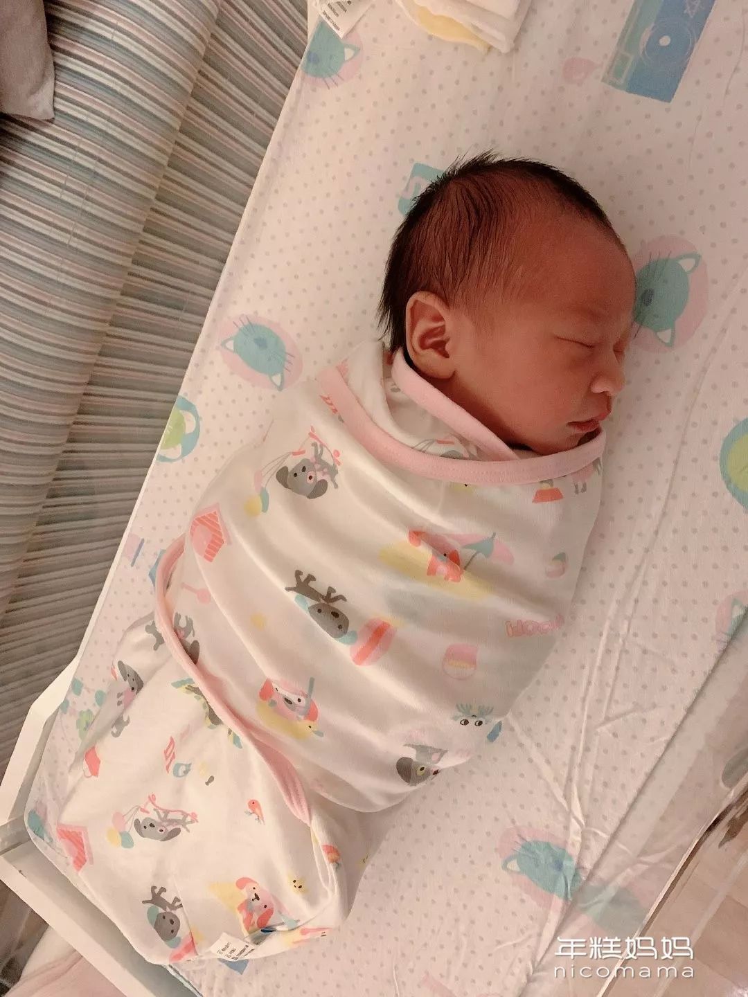 糕妈60秒育儿,糕妈早期视频