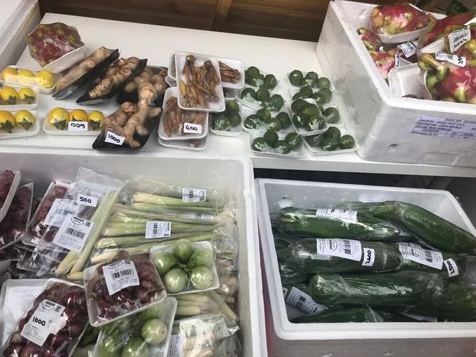 匈牙利文化节,匈牙利布达佩斯活动