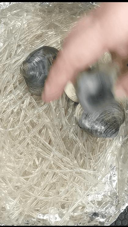 锡纸花甲粉丝煲砂锅的做法视频,简单又好吃的花甲粉丝煲