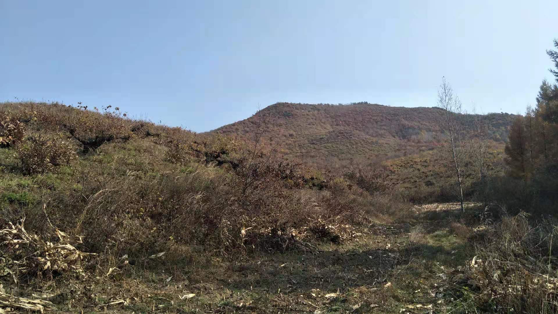 青甸石人传说真相,青甸石人传说故事