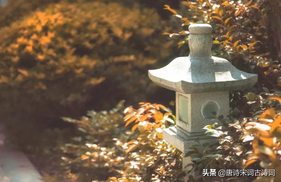 100句惊艳的名句,经典诗词名句大全100首