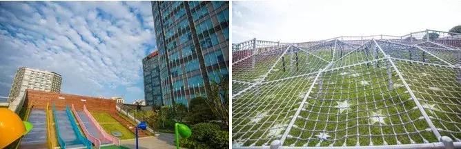 100+全球美食轮番刷！自带18000㎡空中花园的宠粉Mall来了！