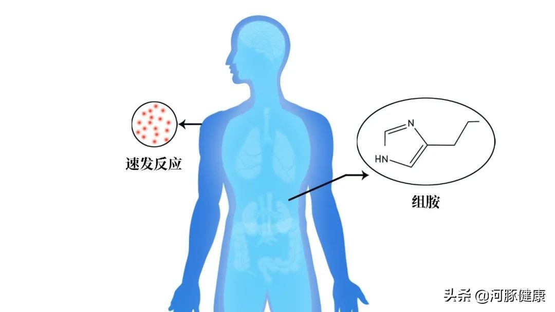 治过敏皮肤痒草药,治过敏痒药物