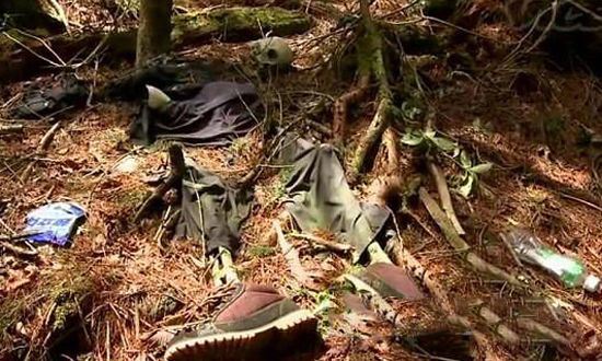 乐山稀奇古怪的地方,乐山大佛恐怖景点